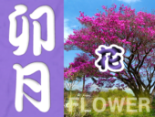 4月の静岡・伊豆・駿河湾エリアの花カレンダー