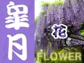 5月の静岡の花カレンダー