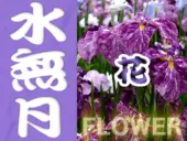 6月の静岡の花カレンダー