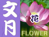 7月の静岡・伊豆・駿河湾エリアの花カレンダー