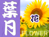8月の静岡・伊豆・駿河湾エリアの花カレンダー
