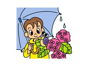 2023年6月/令和5年6月/June/水無月