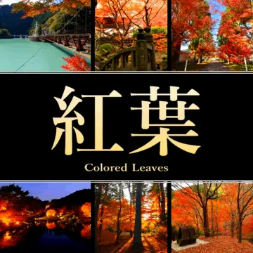 静岡県の紅葉スポット