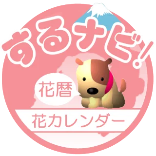 駿河湾NAVI『するナビ！』