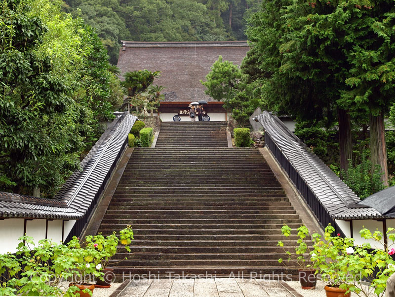 臨済寺参道の石段