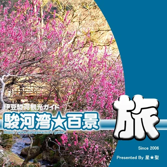 2026年1月版　伊豆･駿河観光ガイド