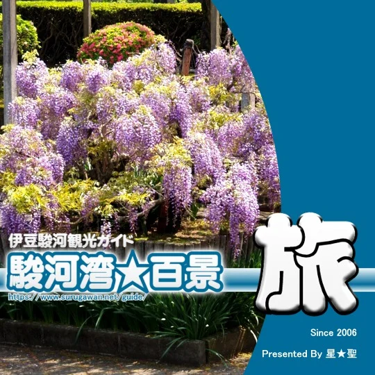 2026年4月版　伊豆･駿河観光ガイド