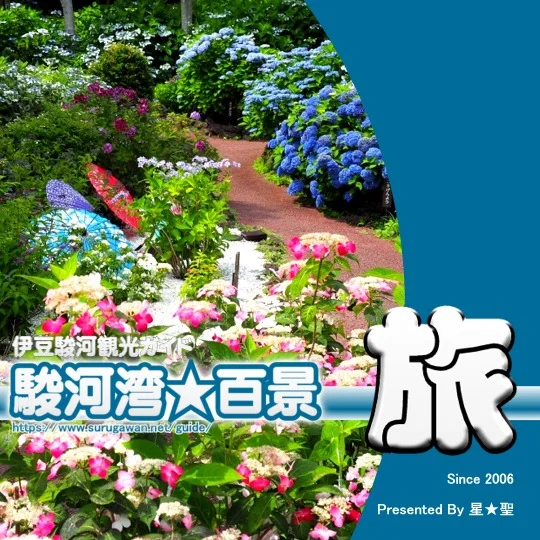 2026年6月版　伊豆･駿河観光ガイド
