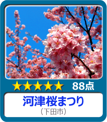 静岡 伊豆の桜の名所