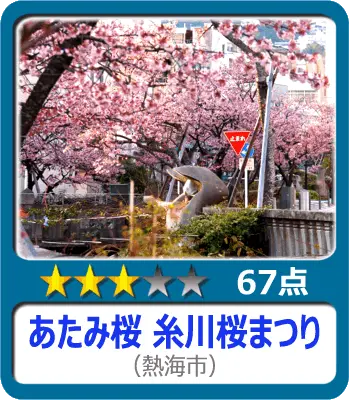 あたみ桜 糸川桜まつり