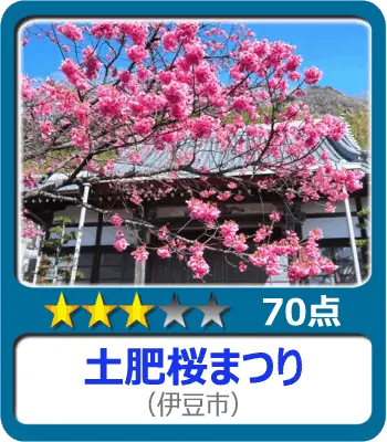 土肥桜まつり