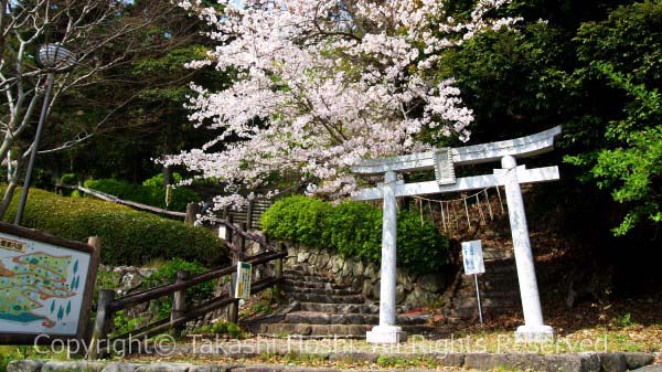 秋葉公園 牧之原市観光ガイド 駿河湾 百景