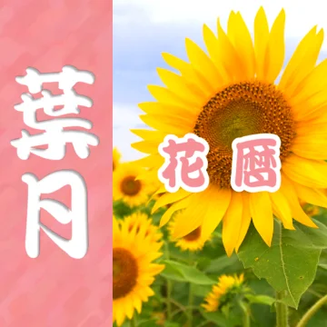静岡の8月の花暦