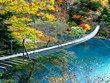 静岡県の橋・つり橋