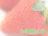 アグリモンスタースペシャル